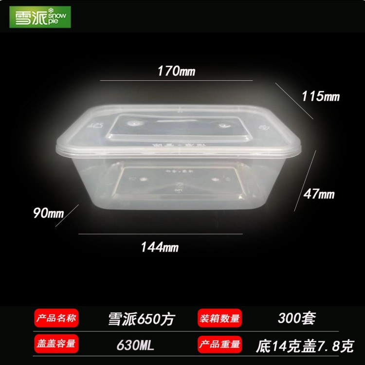 Injection molded rectangular plastic lunch box