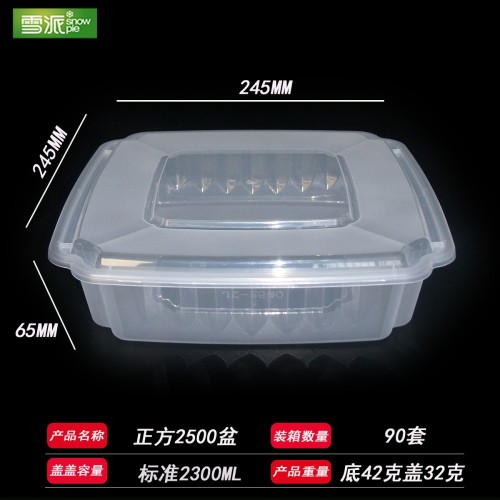 American-style PP square food container