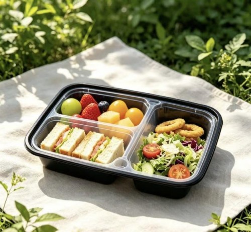 American-style rectangular PP meal box with two compartments