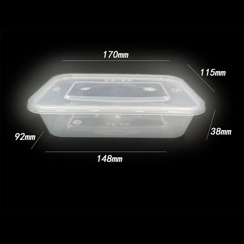 Injection molded rectangular plastic lunch box