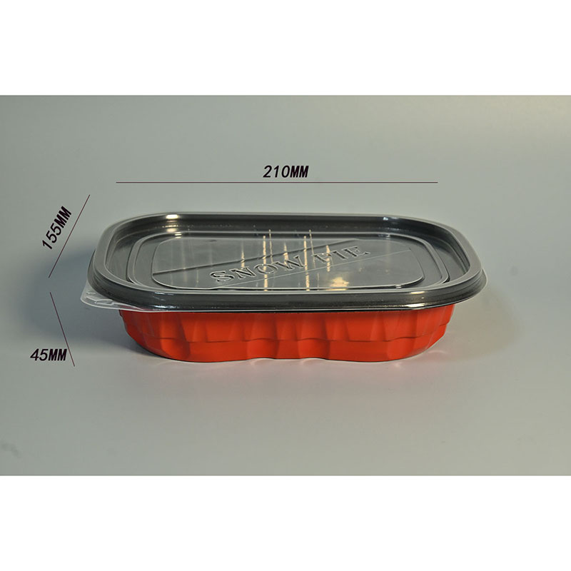 Transparent cubic container